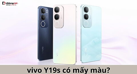 vivo Y19s có mấy màu
