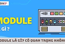 module là gì