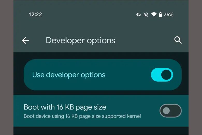 Android Yêu Cầu Ứng Dụng Hỗ Trợ Kích Thước Trang 16KB 3 android memory size 2