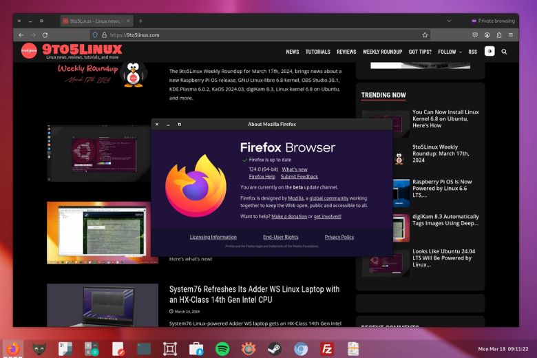 Firefox Có Thể Biến Mất? 6 firefox 1 1