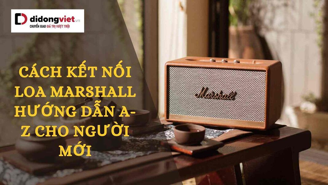 cách kết nối loa Marshall