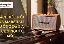 cách kết nối loa Marshall