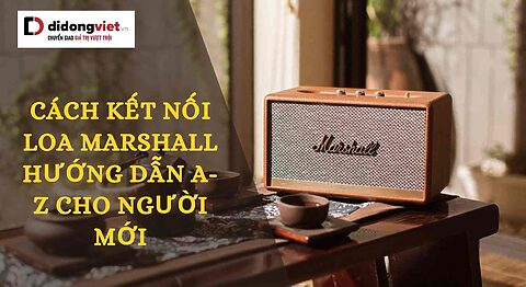 cách kết nối loa Marshall
