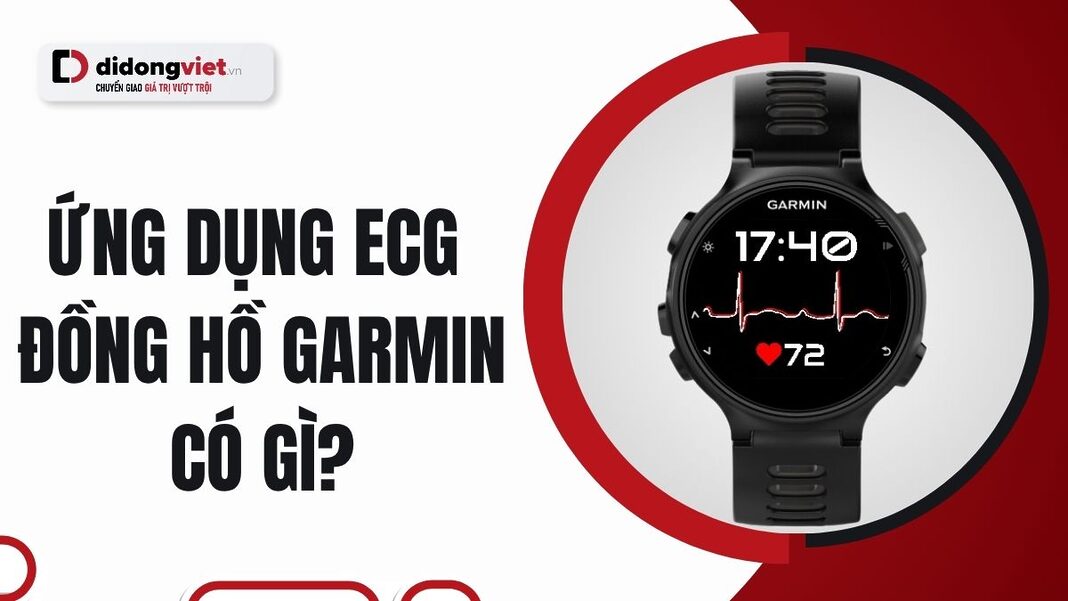 ecg là gì