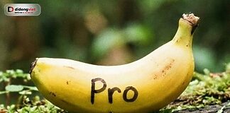 Gemini 3 ra mắt Nano Banana Pro