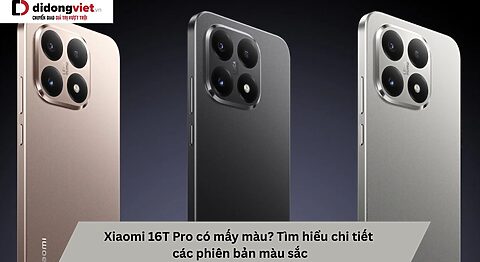 Xiaomi 16T Pro có mấy màu? Tìm hiểu chi tiết các phiên bản màu sắc Xiaomi 16T Pro có mấy màu