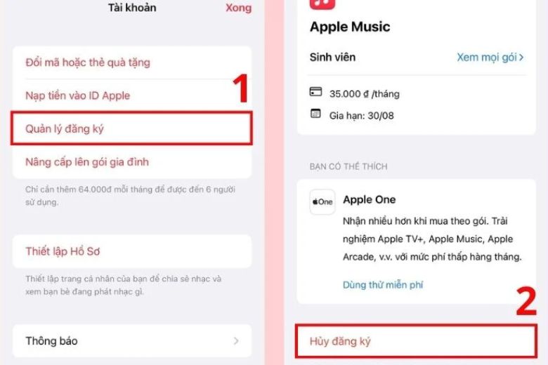 Apple Music là gì? Giá bao nhiêu? Cách đăng ký và cách hủy chi tiết nhất 5 Apple Music là gì?