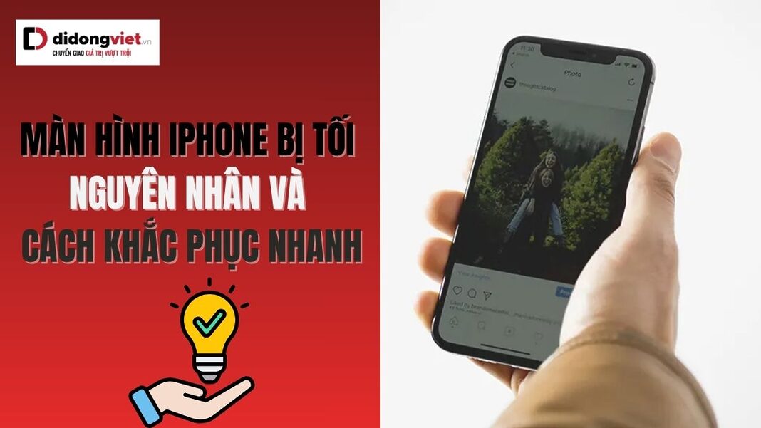 Màn Hình Iphone Bị Tối