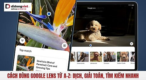 Cách dùng Google Lens