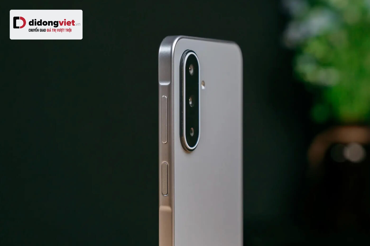Camera Samsung Galaxy A17 hỗ trợ chất lượng 1080p, vừa đủ để chụp ảnh và story trên các nền tảng social