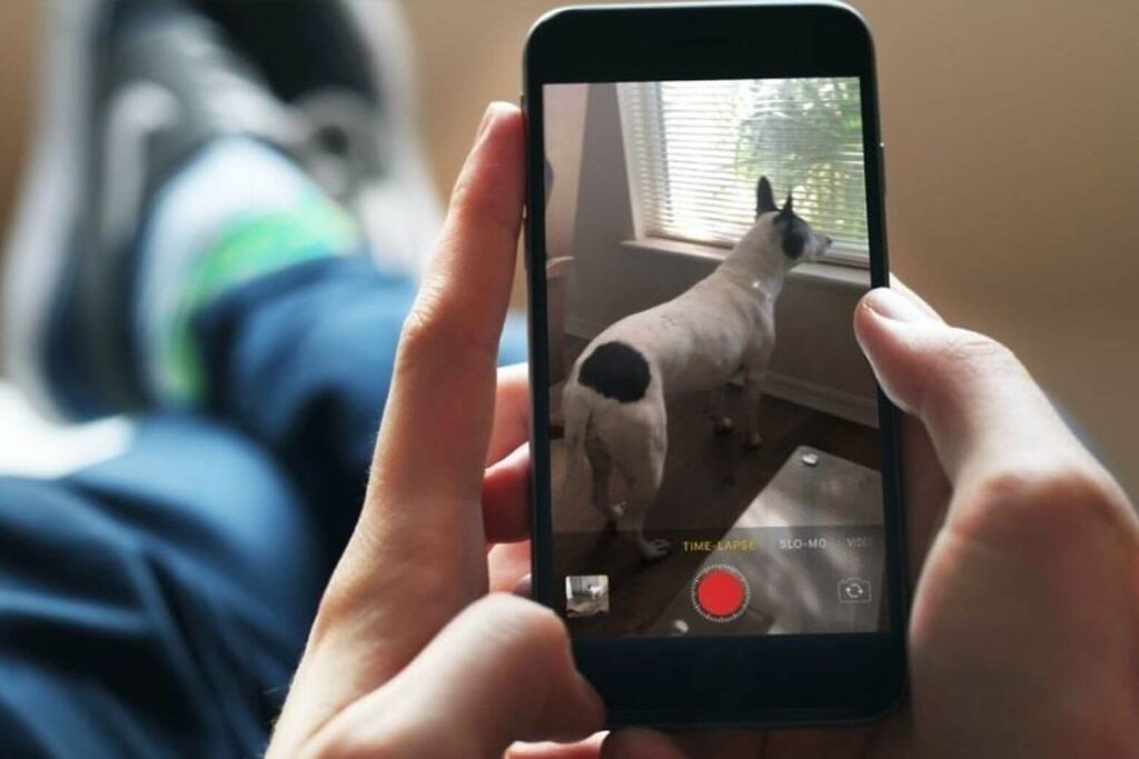 Oppo/Vivo Có Chống Rung Eis Mạnh Và Bộ Lọc Màu Điện Ảnh Cho Hyperlapse Quay Di Chuyển.