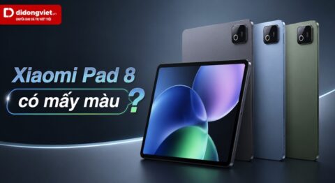 Xiaomi Pad 8 có mấy màu