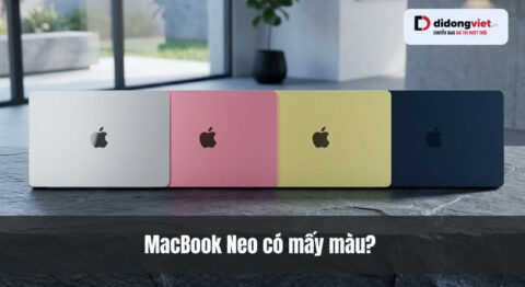 MacBook Neo có mấy màu? Bộ sưu tập đầy đủ từ Bạc đến Xanh Indigo