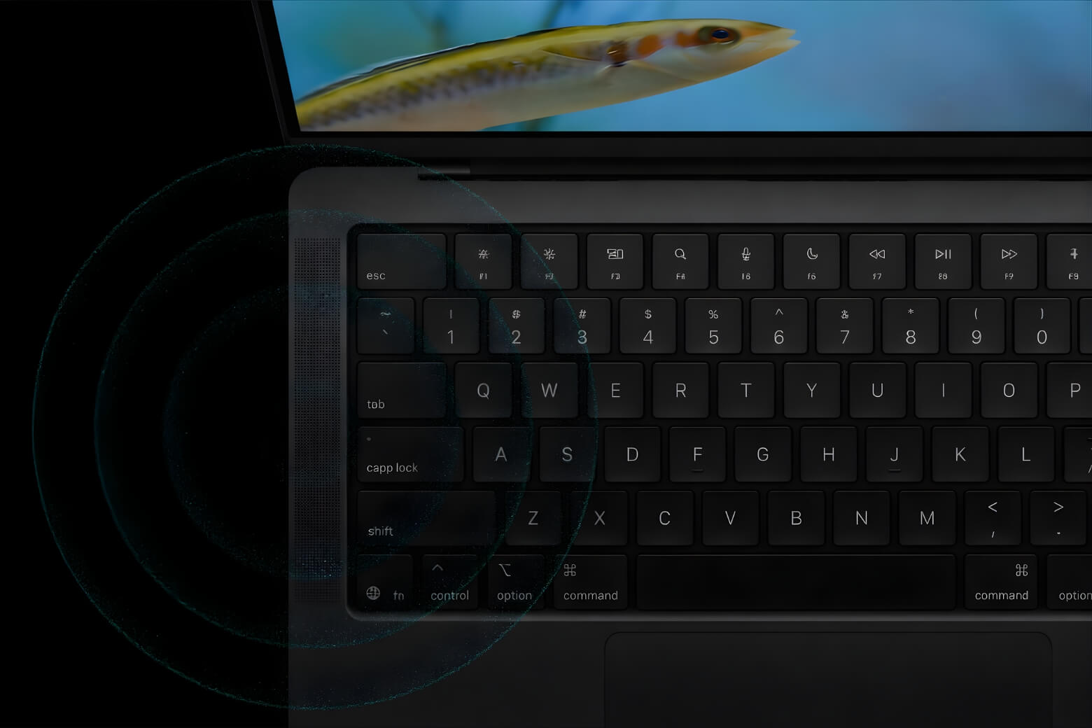 Đánh giá MacBook Pro M5: Hiệu năng chip M5 có đáng nâng cấp? 22 Đánh giá MacBook Pro M5 loa 6 speaker Dolby Atmos