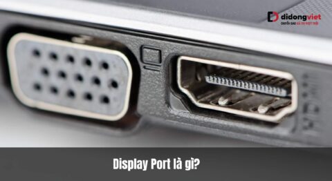 DisplayPort là gì? DisplayPort có mấy loại? Tính năng? Phân biệt với HDMI Display Port là gì? Display Port có mấ\y loại? Tính năng? Phân biệt với HDMI