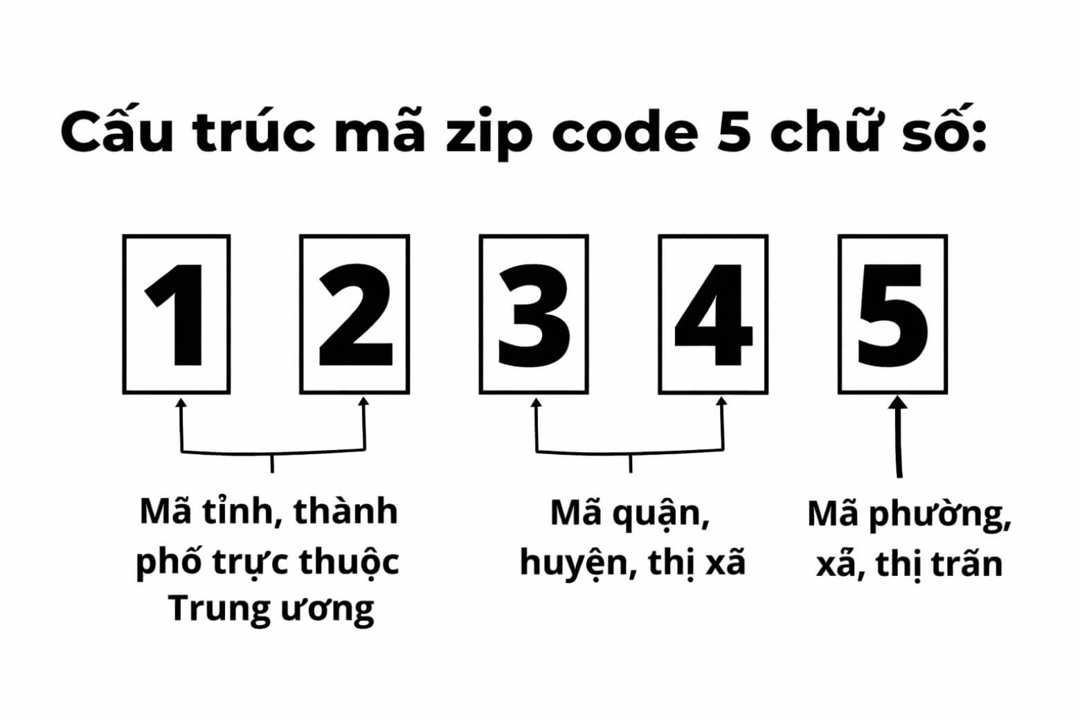 Mã ZIP là gì? Hướng dẫn tra cứu, sử dụng và phân biệt đầy đủ 7 Mã ZIP là gì cấu trúc