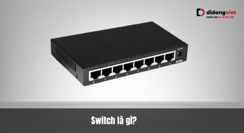 Switch là gì? Giải pháp kết nối LAN tốc độ cao, không độ trễ cho Smarthome và Camera