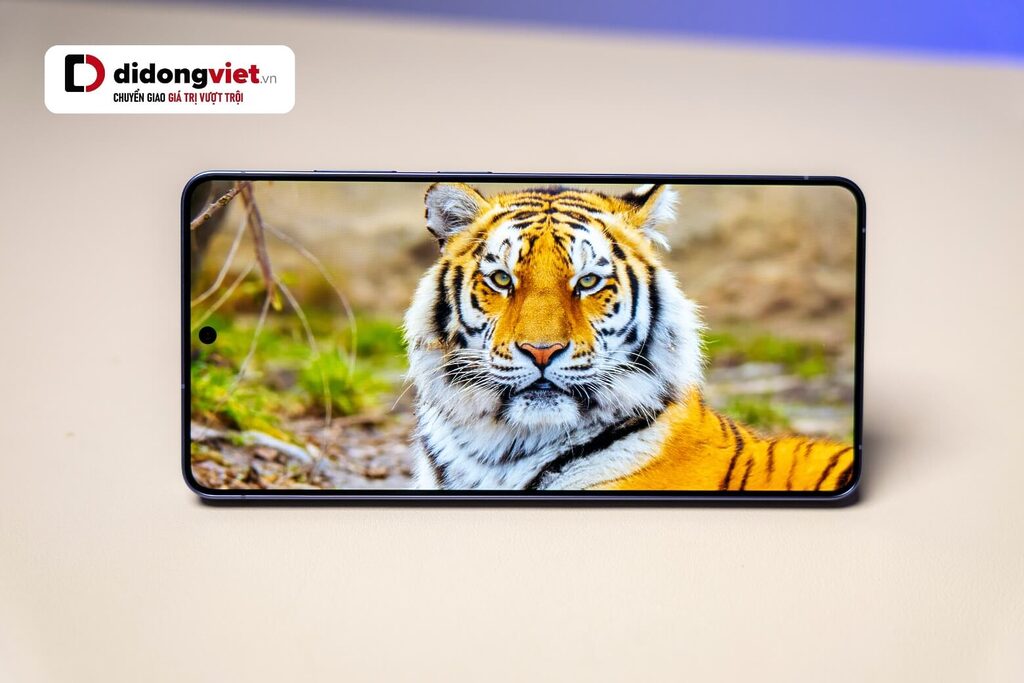 Trên tay Samsung Galaxy S26 Ultra tại Di Động Việt- Bất ngờ ngay từ thiết kế 22 Màn hình S26 Ultra xem video, chụp ảnh hay đơn giản là lướt mạng xã hội đều cảm thấy mượt màv