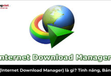 IDM (Internet Download Manager) là gì? Tính năng, Bảng giá và Phần mềm thay thế idm là gì