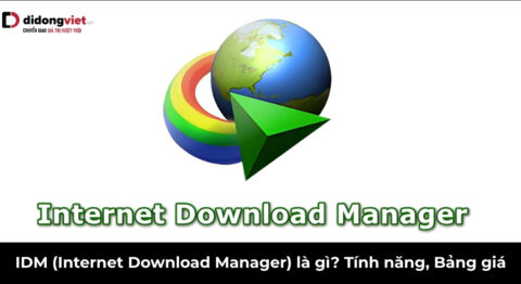 idm là gì