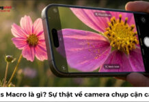 Lens Macro là gì? Sự thật về camera chụp cận cảnh trên điện thoại lens macro là gì