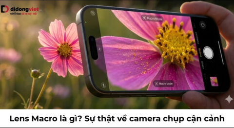 lens macro là gì