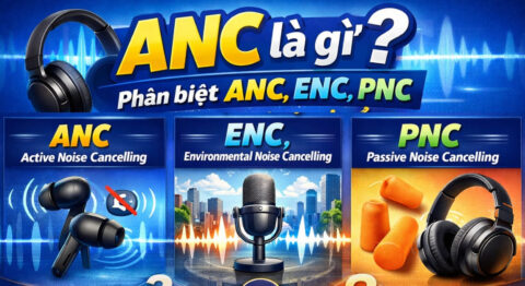 ANC là gì?