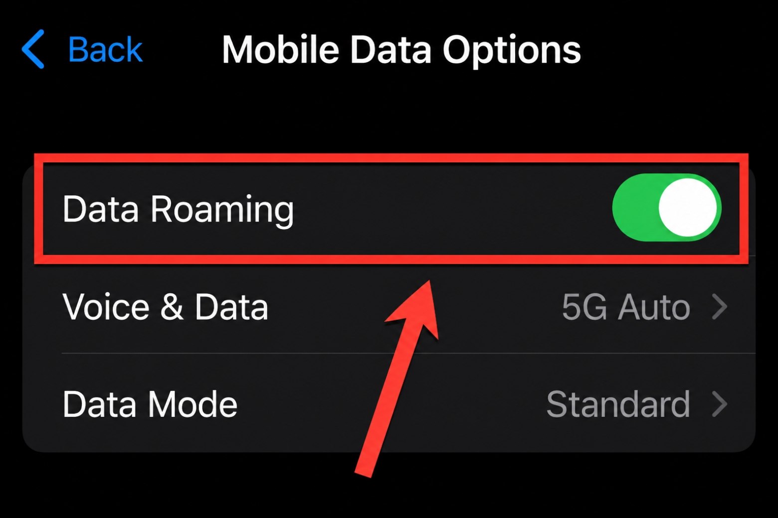 data roaming là gì dữ liệu chạy ngầm