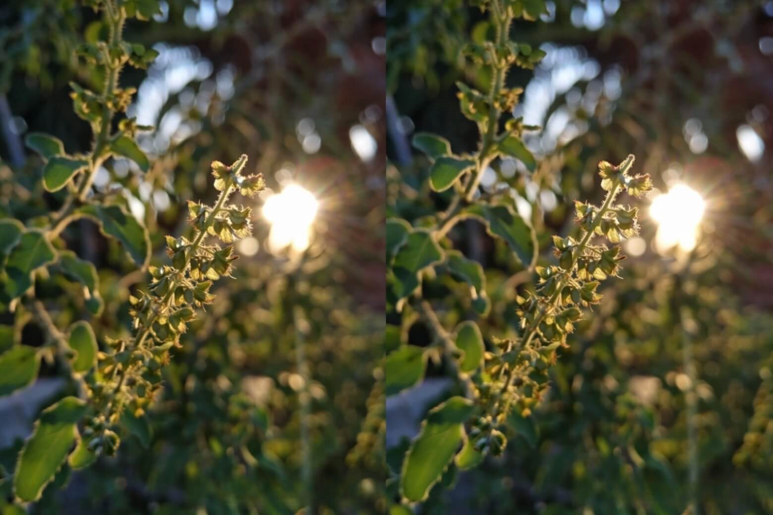 Google Camera Go là gì? Hướng dẫn tải và cài đặt bản chuẩn cho máy yếu 8 google camera go là gì ảnh chụp đêm Night Mode