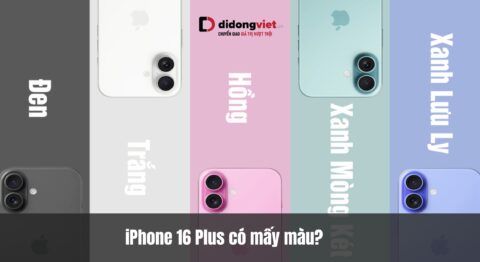 Đánh giá iPhone 16 Plus có mấy màu: Hướng dẫn chọn màu thực tế và mẹo Trade-in tối ưu Đánh giá iPhone 16 Plus có mấy màu: Hướng dẫn chọn màu thực tế và mẹo Trade-in tối ưu