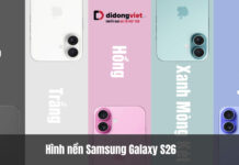 Đánh giá iPhone 16 Plus có mấy màu: Hướng dẫn chọn màu thực tế và mẹo Trade-in tối ưu (04/2026) Đánh giá iPhone 16 Plus có mấy màu: Hướng dẫn chọn màu thực tế và mẹo Trade-in tối ưu (04/2026)