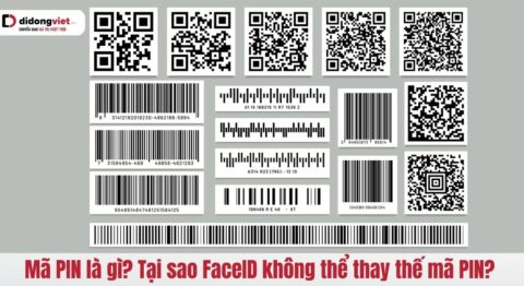 Số seri là gì?