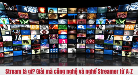 Stream là gì?