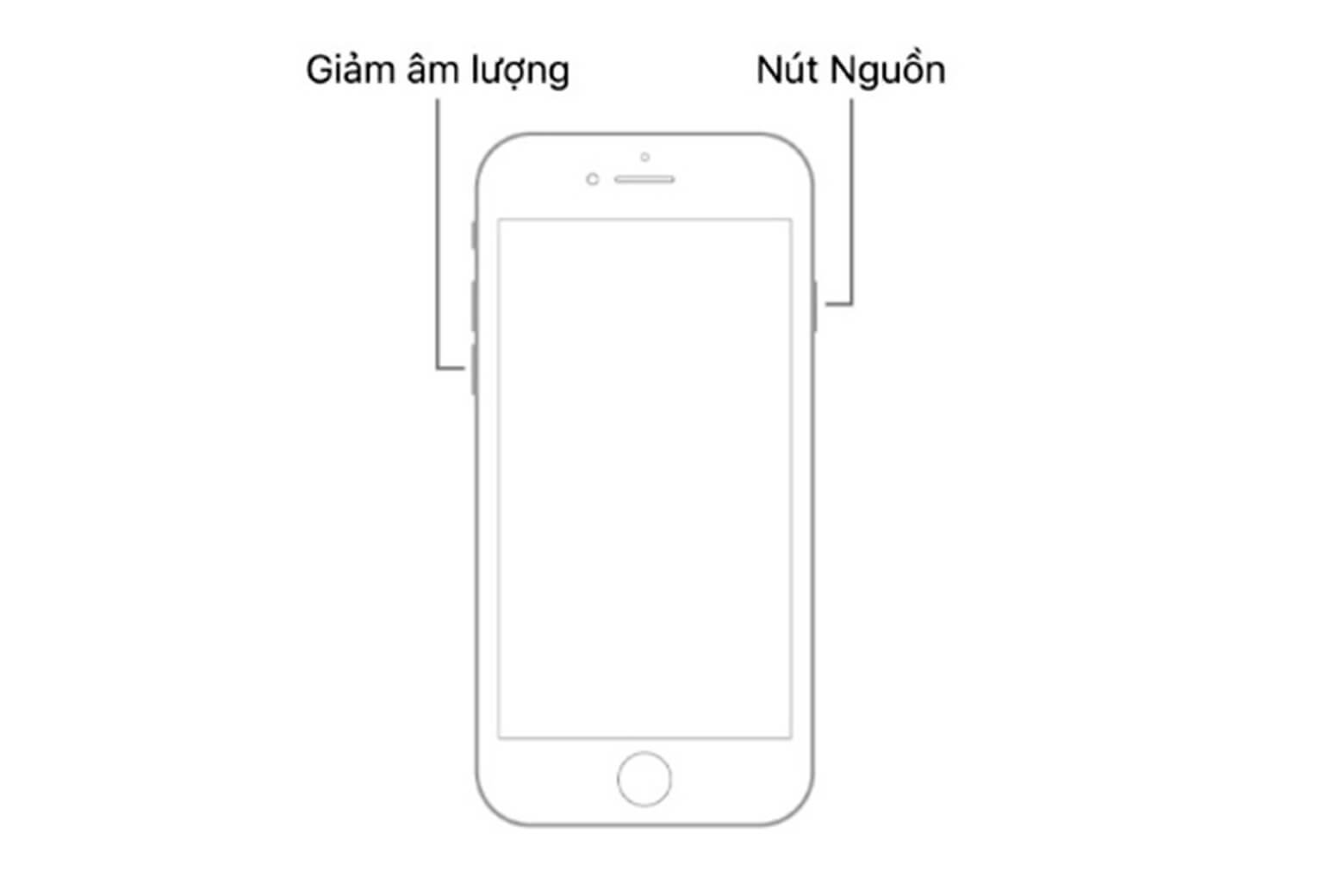 Lỗi "Support Apple Com iPhone Restore" là gì? Cách sửa lỗi không mất dữ liệu 11 Support Apple com iPhone restore là gì Force Restart iPhone 7