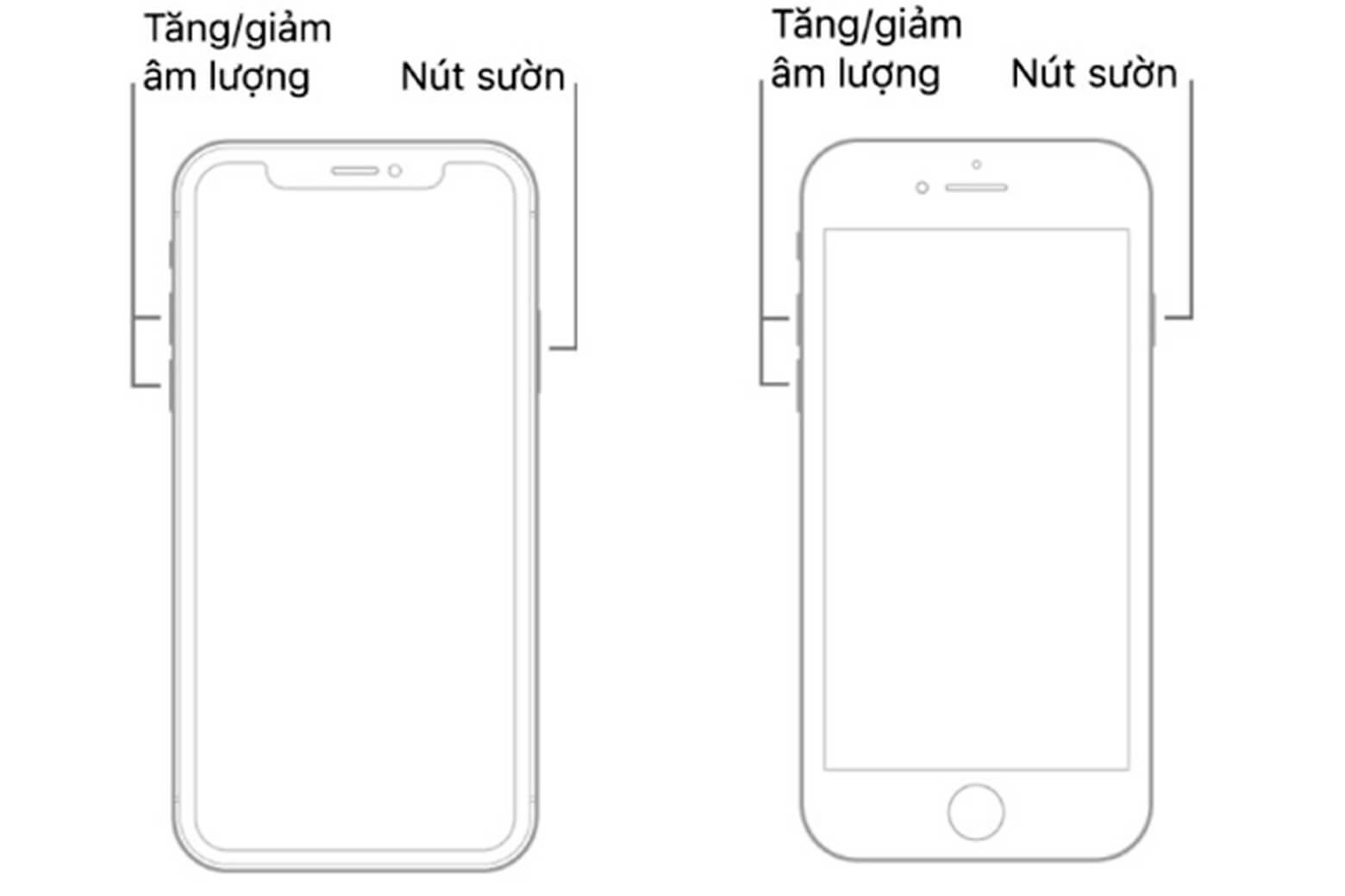 Lỗi "Support Apple Com iPhone Restore" là gì? Cách sửa lỗi không mất dữ liệu 10 Support Apple com iPhone restore là gì Force Restart iPhone mới