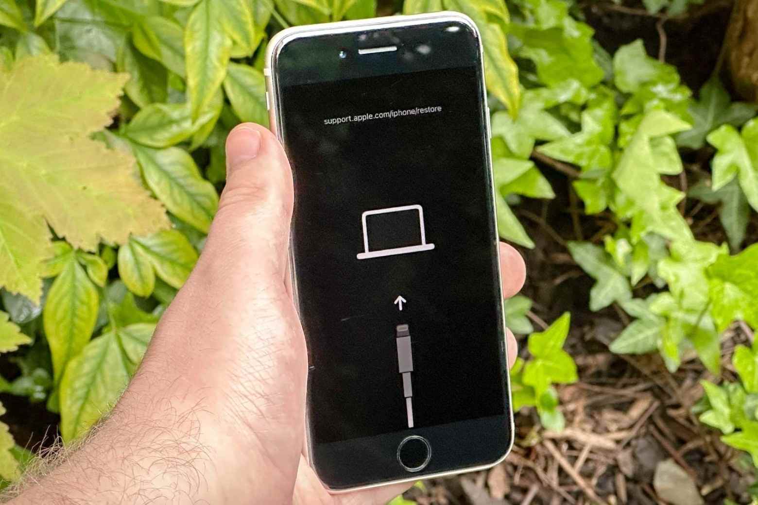 Lỗi "Support Apple Com iPhone Restore" là gì? Cách sửa lỗi không mất dữ liệu 9 Support Apple com iPhone restore là gì màn hình Recovery Mode