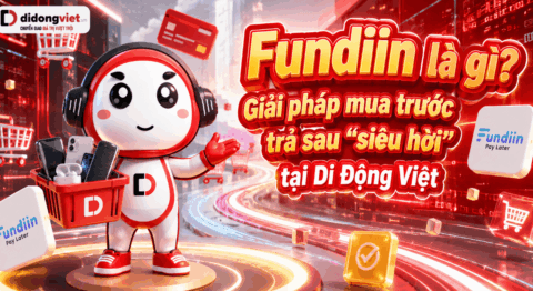 fundiin là gì?