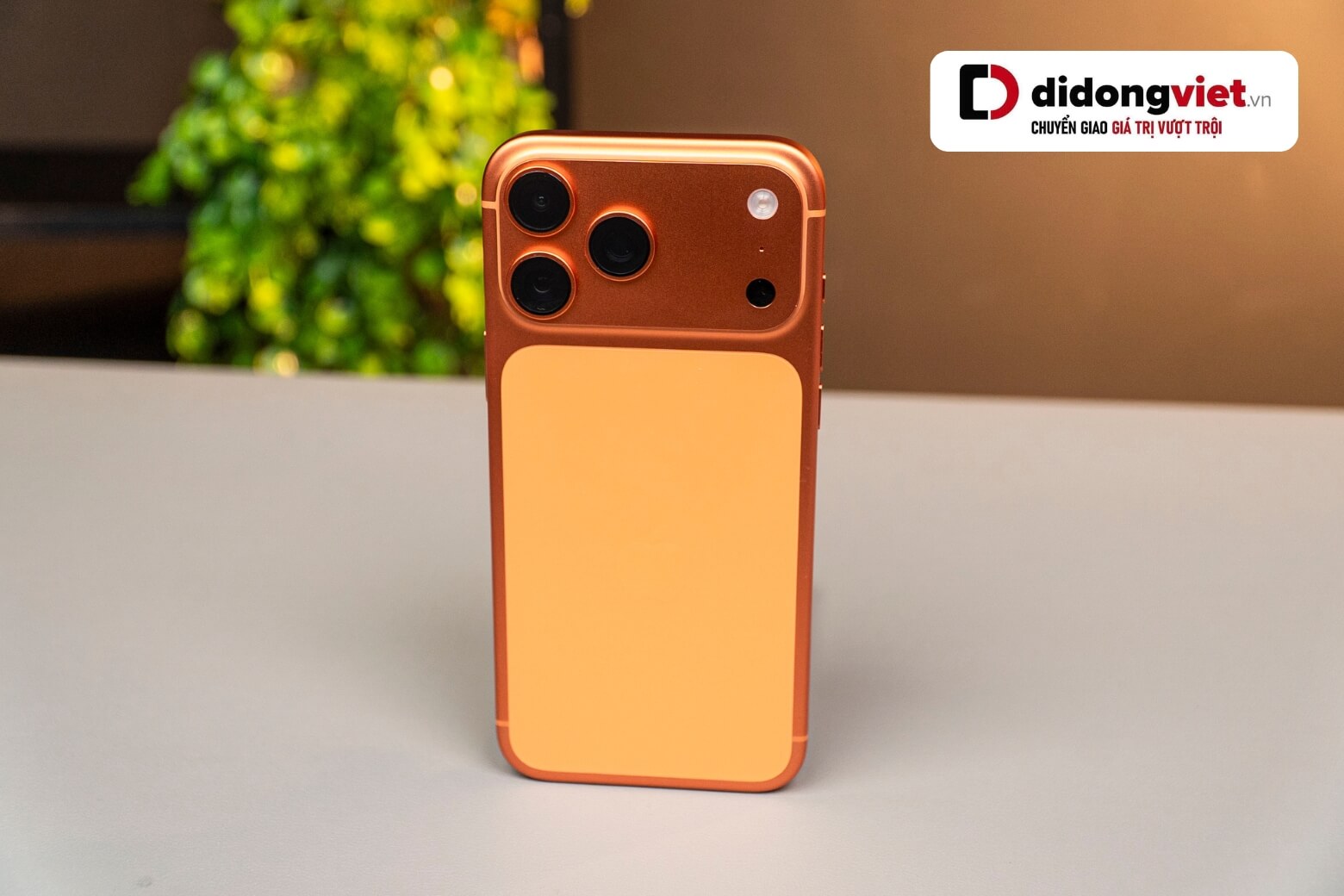 iPhone 17 Pro Max màu cam thực tế