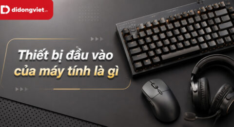 Thiết bị đầu vào của máy tính là gì