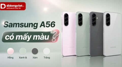 Samsung A56 có mấy màu? Gợi ý chọn màu thực tế và hợp mệnh Samsung A56 có mấy màu