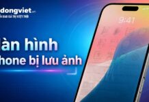 Màn hình iPhone bị lưu ảnh