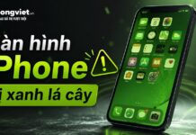 Màn hình iPhone bị xanh lá cây: trải nghiệm thực tế và cách xử lý an toàn Màn hình iPhone bị xanh lá cây