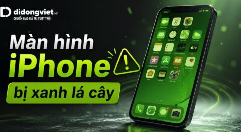 Màn hình iPhone bị xanh lá cây: trải nghiệm thực tế và cách xử lý an toàn