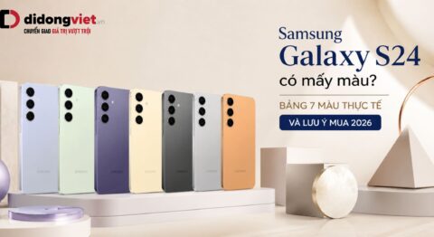 Samsung Galaxy S24 có mấy màu