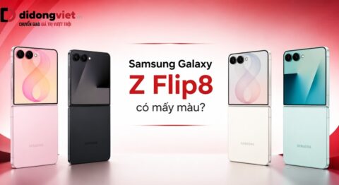 Tin đồn: Samsung Galaxy Z Flip8 có mấy màu? Gợi ý chọn màu sắc hợp phong cách