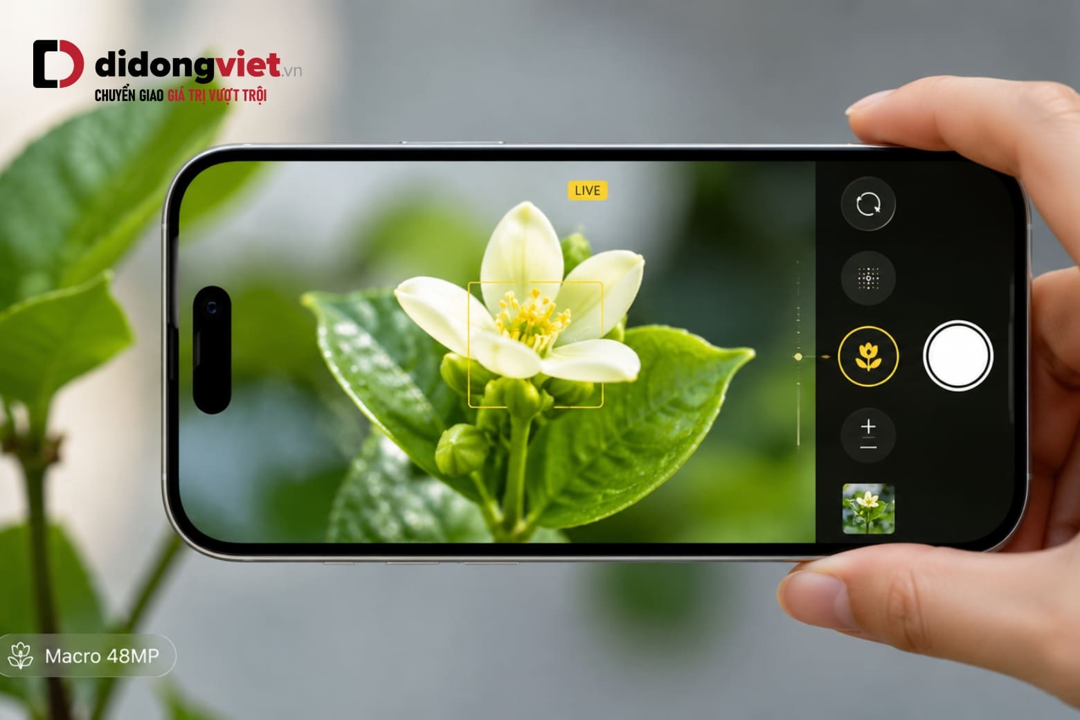 Cách chụp ảnh đẹp trên iPhone 17 Pro với 10 mẹo đơn giản nhất 9 Đúng khoảng cách giúp ảnh macro sắc nét, nổi bật từng chi tiết nhỏ nhất