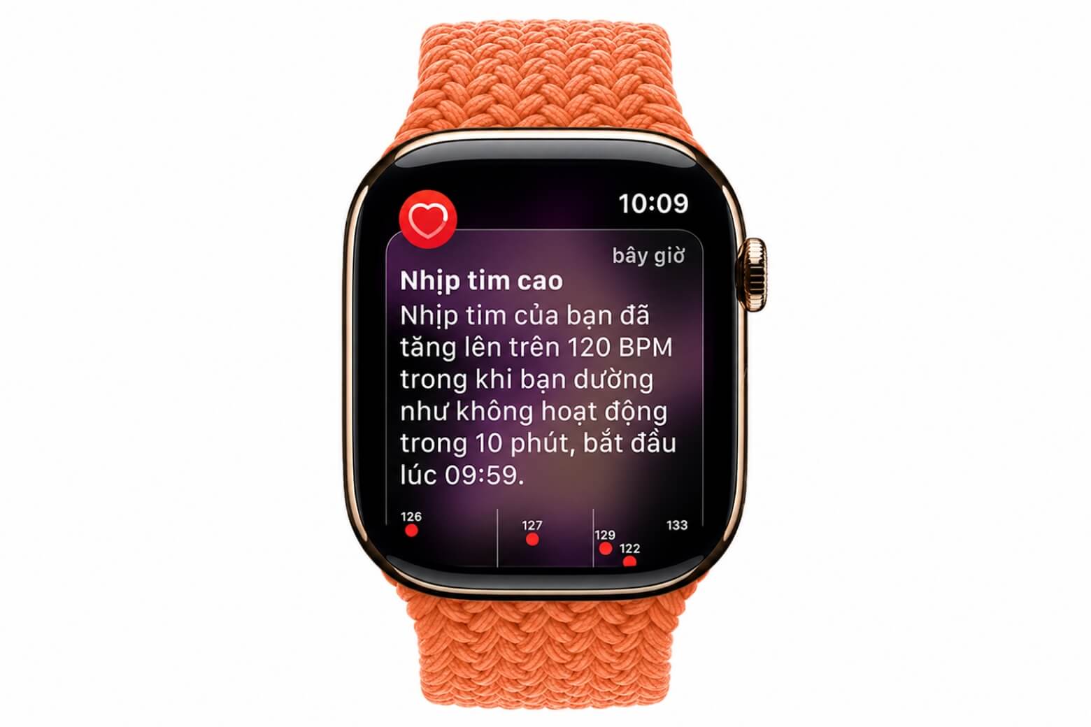 Cấu hình Apple Watch Series 11: Chi tiết thông số và nâng cấp mới 11 Cấu hình Apple Watch Series 11 cảm biến ECG SpO2 sức khỏe