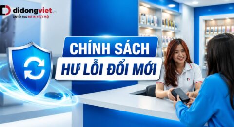 Chính sách hư lỗi đổi mới