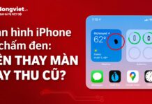 Màn hình iPhone bị chấm đen: Nên thay màn hay thu cũ? màn hình iphone bị chấm đen