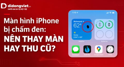 màn hình iphone bị chấm đen